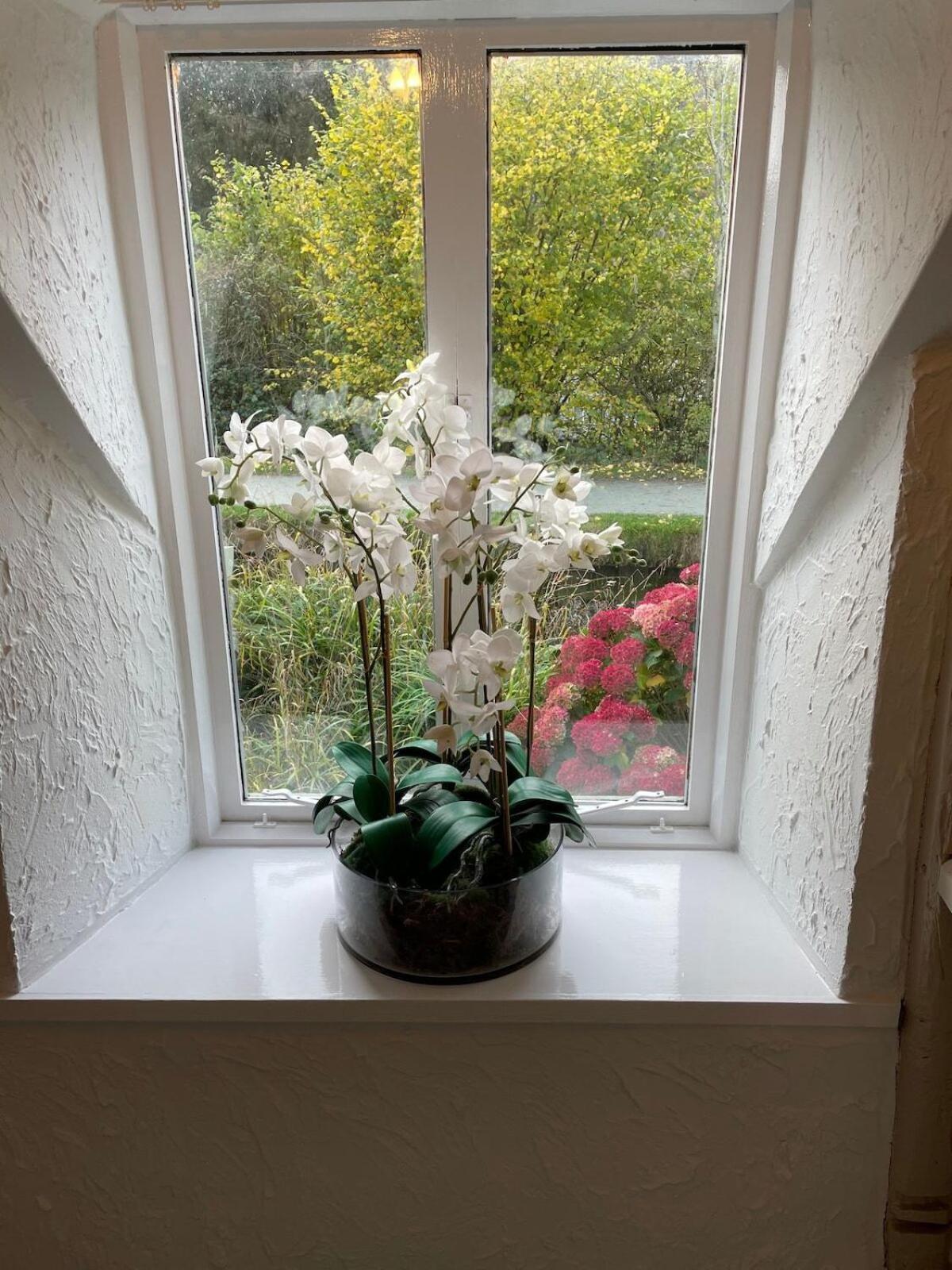Penddol Cottage 랑골렌 외부 사진